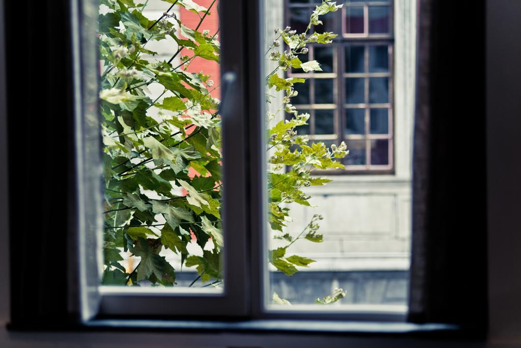 Centre Appartement *